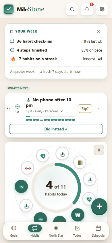 The Habits tab: what is next, and today’s habits around a ring